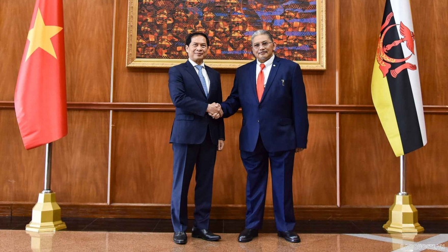 Vietnam, Brunei boost comprehensive partnership